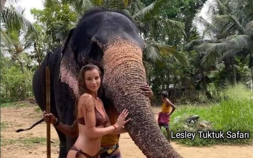 Kandy : Pinnawala Elephant Safari Private Guid Tuk Tuk Tour - Ceylon craft and culture stops: gems, wood carving, and the Kandyan dance