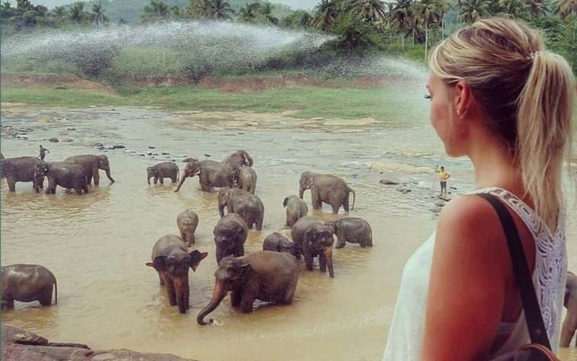 Kandy : Pinnawala Elephant Safari Private Guid Tuk Tuk Tour - The small road stops that make it feel local (not just touristy)