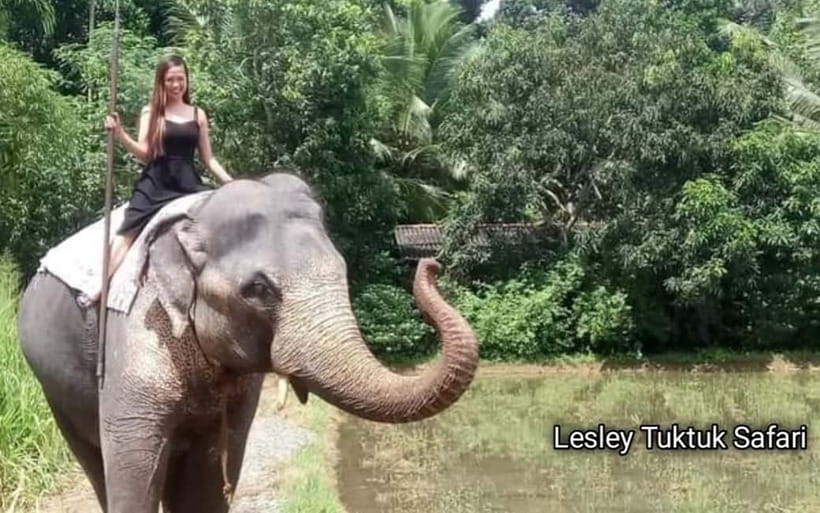 Kandy : Pinnawala Elephant Safari Private Guid Tuk Tuk Tour - Getting from Kandy to Pinnawala: the tuktuk route and quick scenic breaks