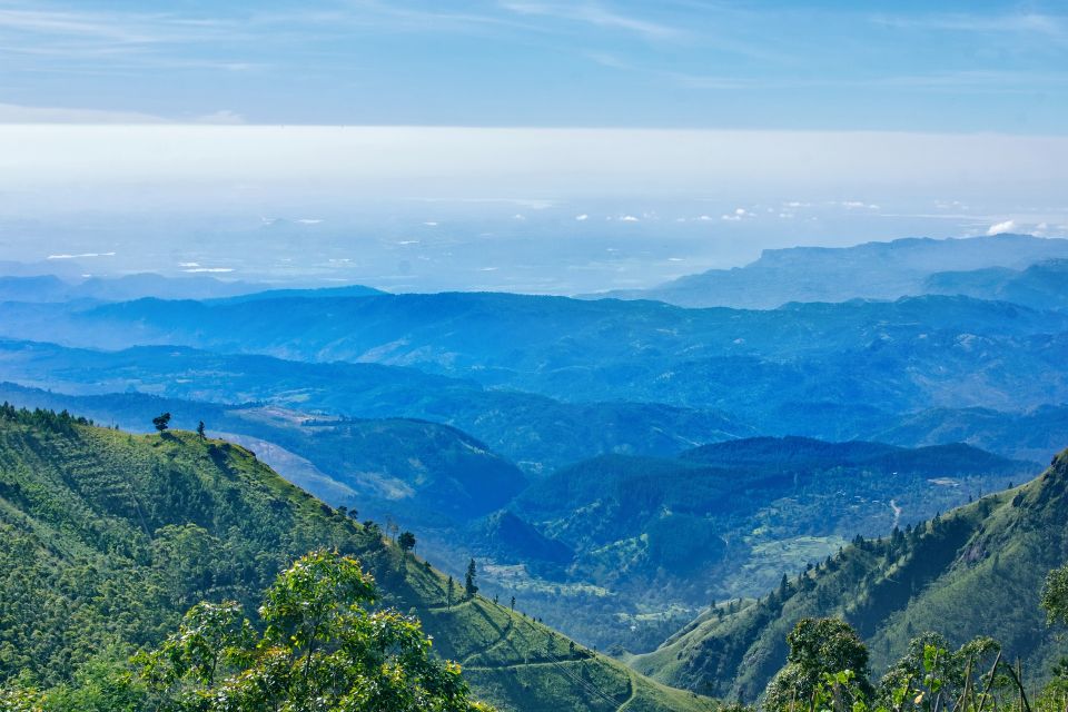 Kandy, Pinnawala Private Day Trip From The West Coast Beach - Price and value: what $199 covers, and what you still pay