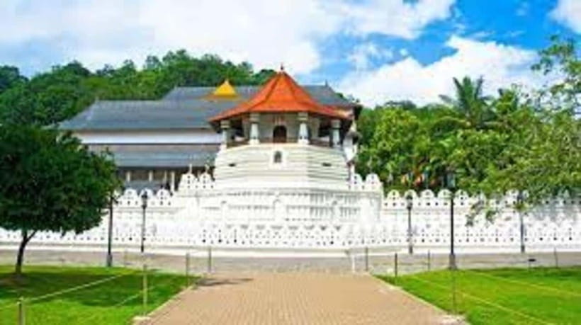 Kandy & Pinnawala & Tea Factory Full Day Tour From Negombo - Key things worth clocking before you go