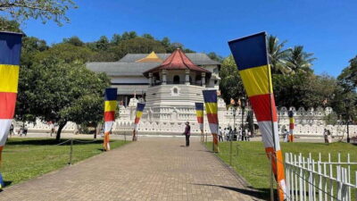 Kandy & Pinnawala & Tea Factory Full Day Tour From Negombo - Pinnawala: watching elephants up close at Millennium Elephant Foundation