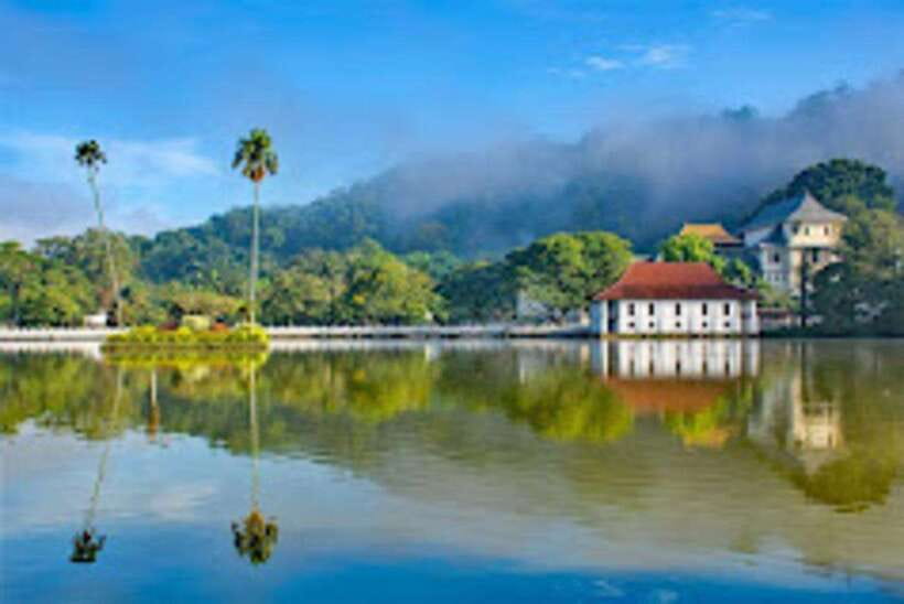 Kandy & Pinnawala & Tea Factory Full Day Tour From Negombo - Royal Botanical Gardens: give yourself room to slow down in Kandy