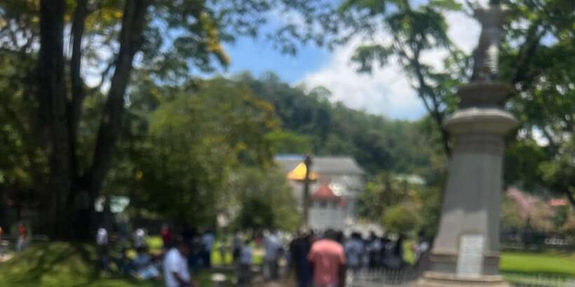 Kandy: Private City Highlights Guided Tour by Tuk-Tuk - Price and Logistics: Cheap Headline, Real Entrance Costs