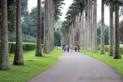 Kandy Private City Tour With Local Guide - Starting at the Temple of the Sacred Tooth Relic