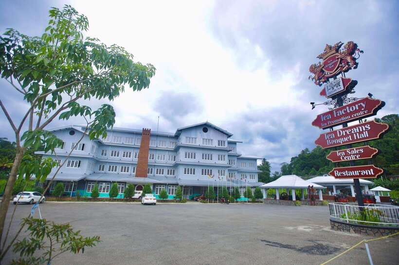 Kandy Private City Tour With Local Guide - Peradeniya Royal Botanical Gardens: Plant-Watching Without the Museum Vibe
