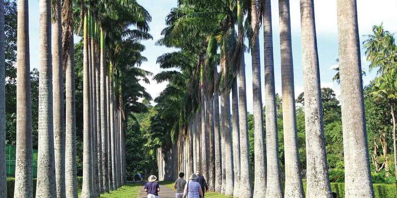 Kandy: Private Guided City Tours by Tuk Tuk Sightseeing Tour - Ceylon Gem Museum: Precious Stones and the Industry Angle