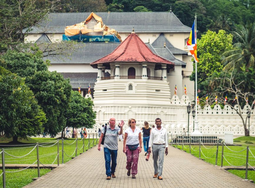 Kandy: Private Guided City Tours by Tuk Tuk Sightseeing Tour - Royal Botanical Garden: Walking Pace That Actually Helps