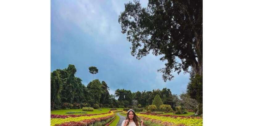 Kandy: Private Guided City Tours by Tuk Tuk Sightseeing Tour - Tea Factory + Tasting: Learning the Ceylon Tea Story