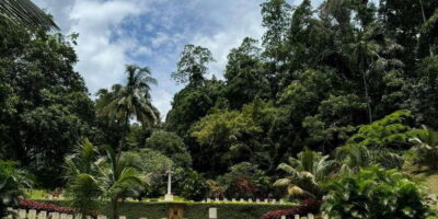 Kandy: Private Guided Tour with Local Highlights by Tuk Tuk - Sacred Temple of the Tooth in the Royal Palace Complex