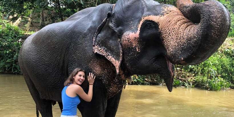 Kandy privet day tour with pinnawala and Tea plantation - Key Highlights at a Glance