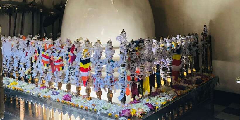 Kandy privet day tour with pinnawala and Tea plantation - What’s Included, What’s Not, and How Much Value $47 Really Means