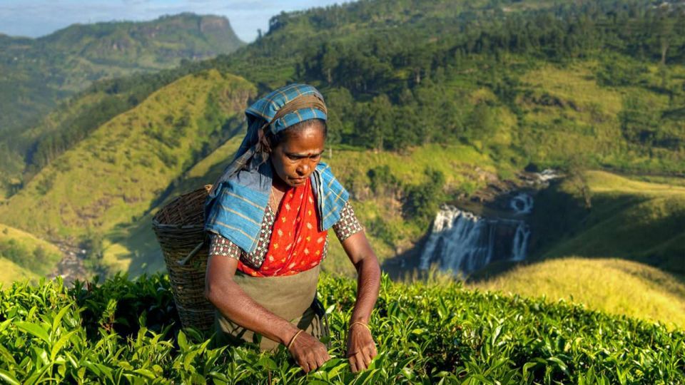 Kandy: Shanthipura and Nuwara Eliya - Shanthipura: Highest Village Views and a Cooler Sunset