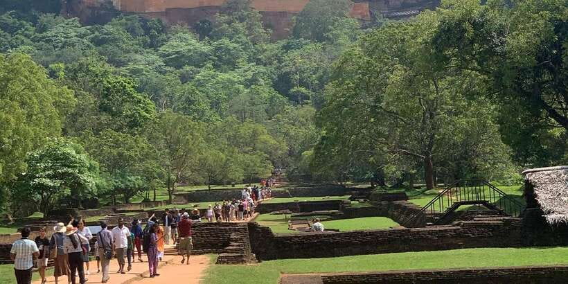 Kandy: Sigiriya Dambulla & Minneriya Park Safari day tour - Should you book it? My take
