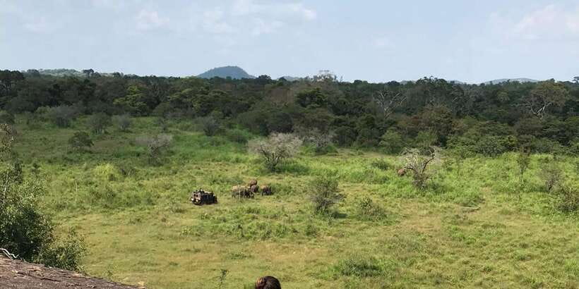 Kandy: Sigiriya, Dambulla & Wildlife Safari Private Tour - Key things that make this tour worth your day