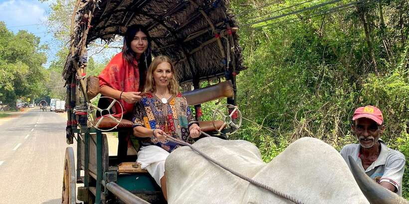 Kandy: Sigiriya, Dambulla & Wildlife Safari Private Tour - Habarana 4x4 Jeep Safari: elephants and birds, guided by the season