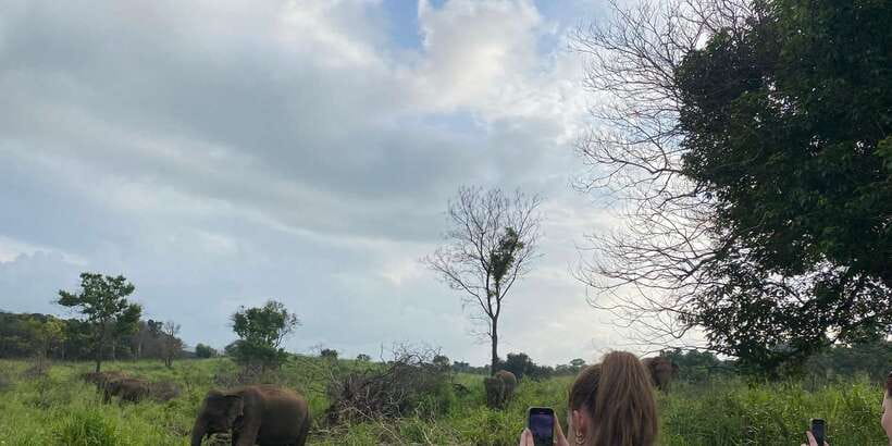 Kandy: Sigiriya, Dambulla & Wildlife Safari Private Tour - Value check: what $19 covers, and what to budget for tickets