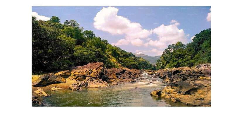 Kandy to Ambuluwawa & Kandy City Guided Tuk Tuk Day Tour - Tea Factory + Peradeniya Botanical Gardens: Where the Day Gets Calm