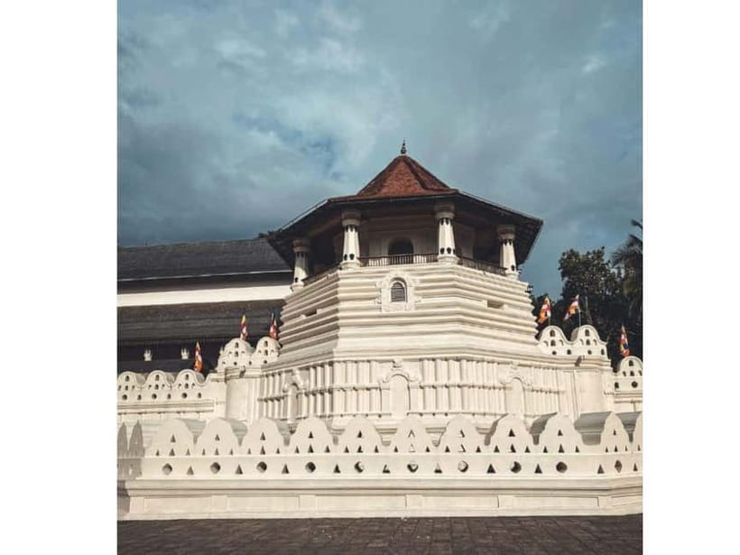 Kandy to Pinnawala Guided Day Tours by Local - Key highlights you can bank on