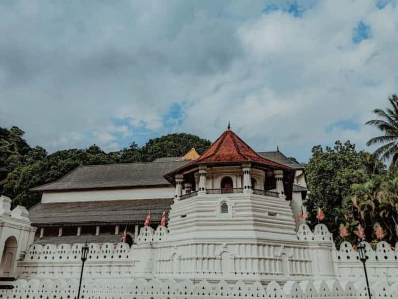 Kandy to Pinnawala Guided Day Tours by Local - Ceylon tea factory + tasting: how to make this stop worth it