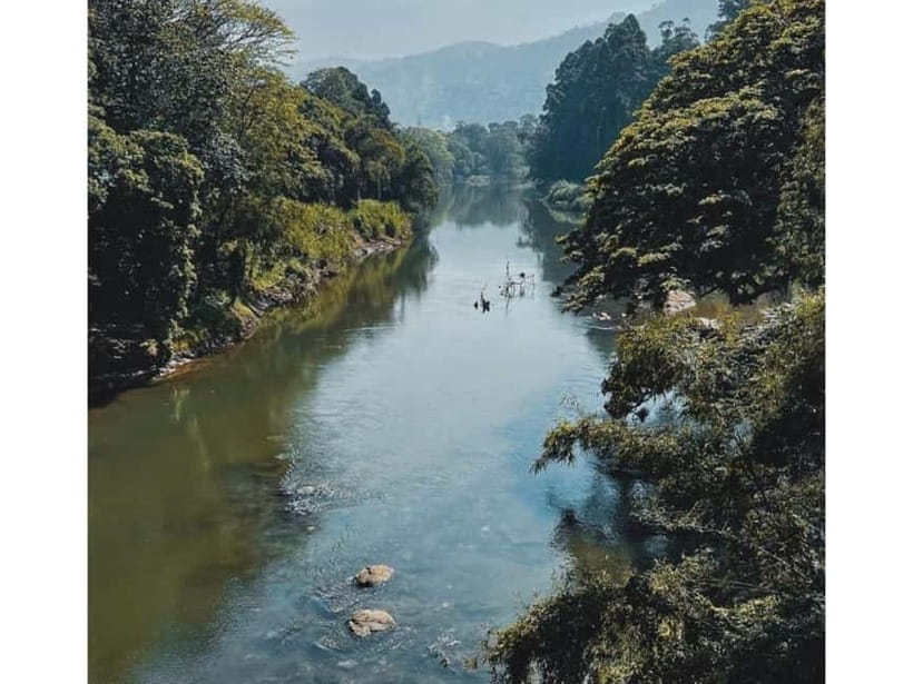 Kandy to Pinnawala Guided Day Tours by Local - Mahaweli River and Kandy View Point: short scenic hits