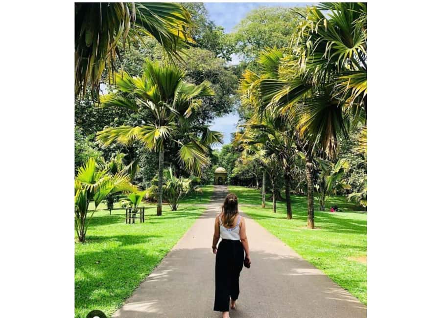 Kandy to Pinnawala Orphanage and Ambuluwawa Guided Day Tours - Kadugannawa Rock View: A Quick Break That Actually Helps