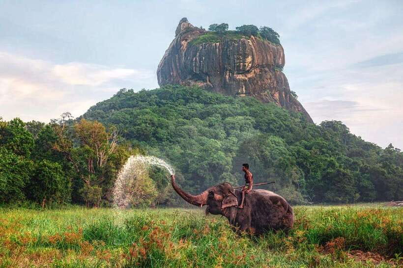 Kandy to Sigiriya Private Tour by Tuk Tuk with All Fees - Key things you’ll care about most