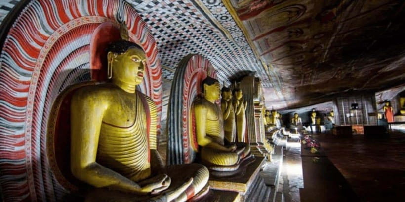 Kandy to Sigiriya Private Tour by Tuk Tuk with All Fees - Minneriya National Park wildlife safari: elephants are the headline