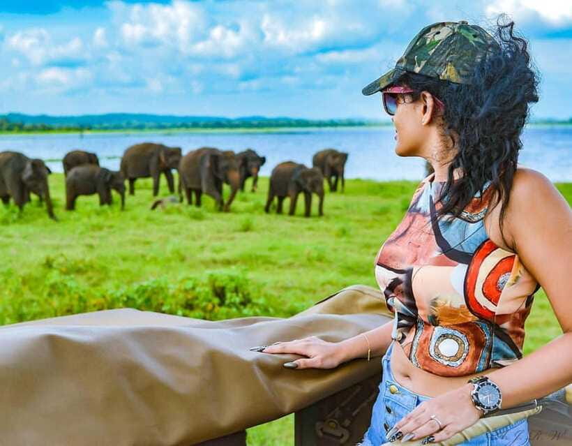 Kaudulla National Park Half-Day Safari with Expert - The guide’s role: how expert commentary changes the safari