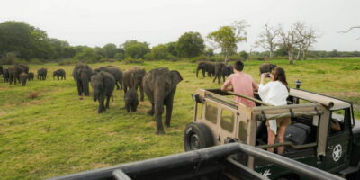 Kaudulla National Park Half Day Sri Lanka Jeep Safari - Pickup from Sigiriya, Dambulla, Kandalama, or Habarana: getting there without the hassle