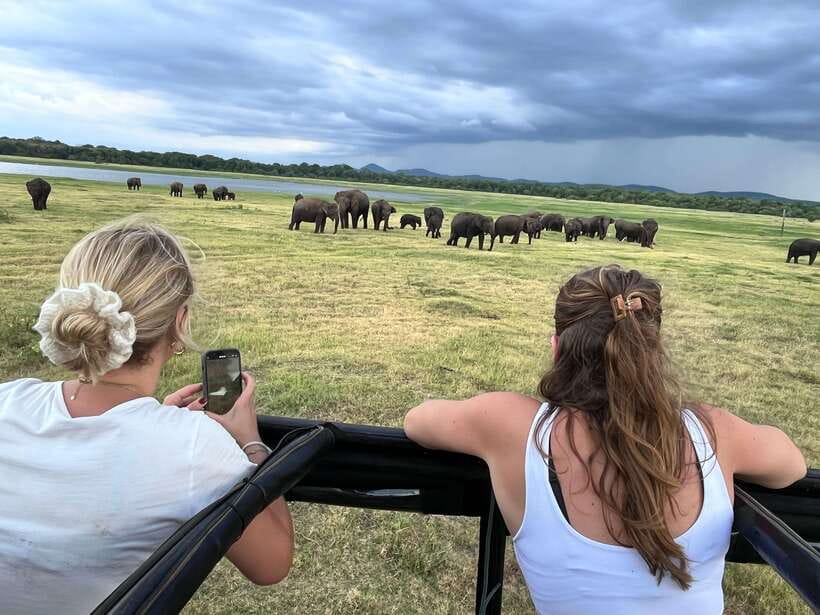 Kaudulla National Park: Private Safari - Your 3-hour rhythm from Habarana (and why private time matters)