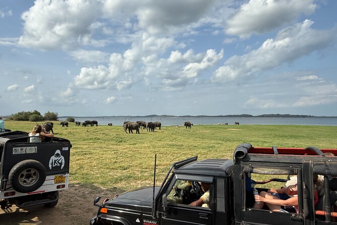 Kaudulla National Park Safari [private , full package] - Price and value: what $110 buys you here