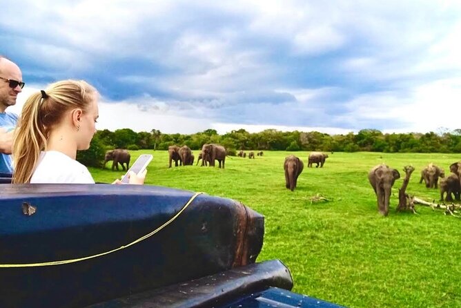 Kaudulla Safari Adventure - Key highlights to know before you go