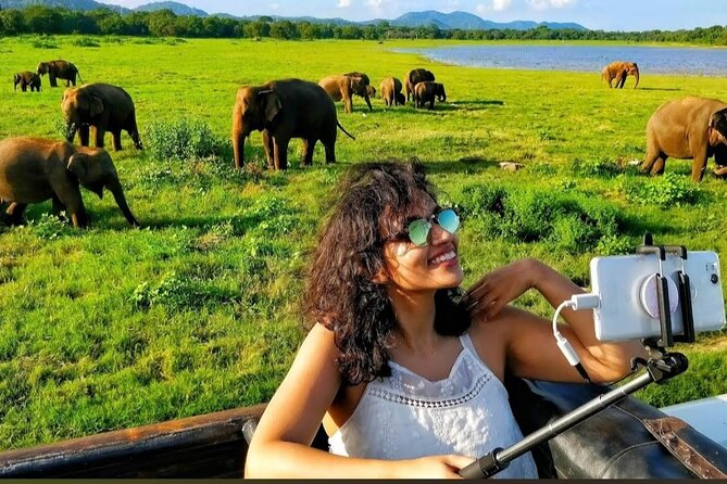 Kaudulla Safari Adventure - Beyond elephants: deer, wild boar, monkeys, leopards, and peacocks