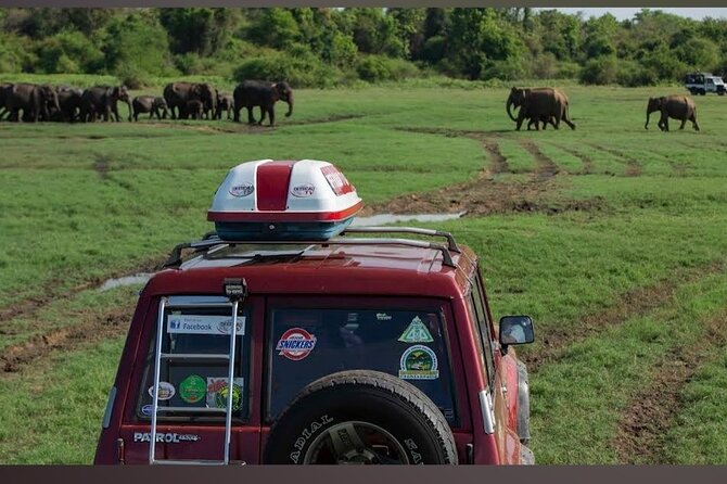 Kaudulla Safari Adventure - The ticket office reality: why early arrival matters