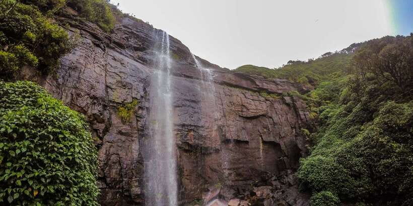 Knuckles Leopard trail Trek from Kandy - Key points before you book