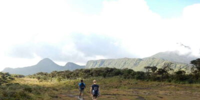 Knuckles Leopard trail Trek from Kandy - Trekking the tea trail uphill: gravel paths and bridge crossings