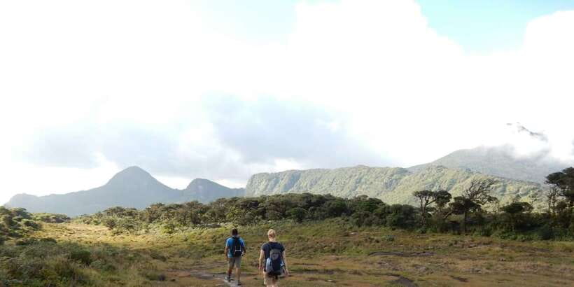 Knuckles Leopard trail Trek from Kandy - Trekking the tea trail uphill: gravel paths and bridge crossings