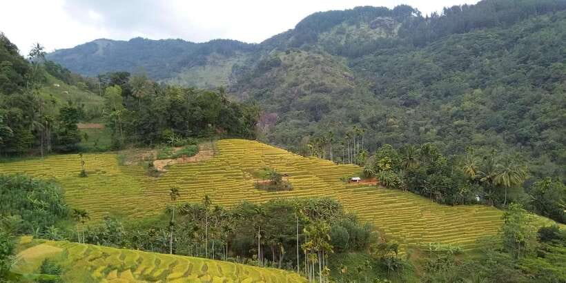 Knuckles Spice Trail Trek from Kandy - Price and value: what $101 covers and why it feels fair