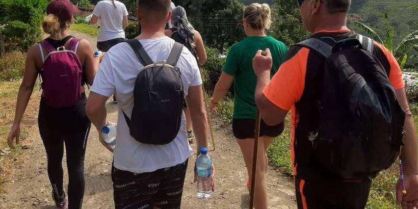 Knuckles Spice Trail Trek from Kandy - Pine, eucalyptus, and a cloud-forest feel