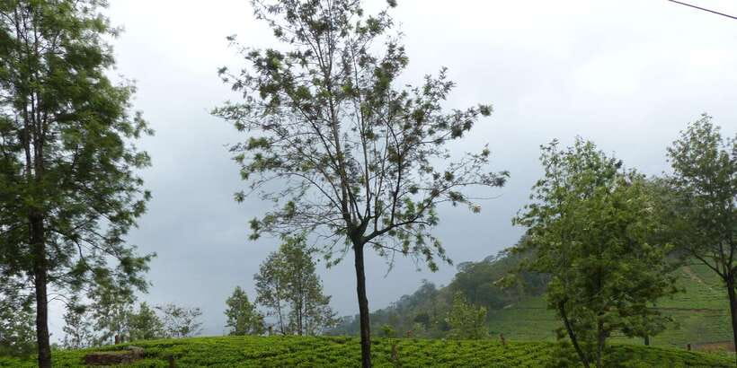 Knuckles Spice Trail Trek from Kandy - Waterfall crossing and the natural swimming pool stop