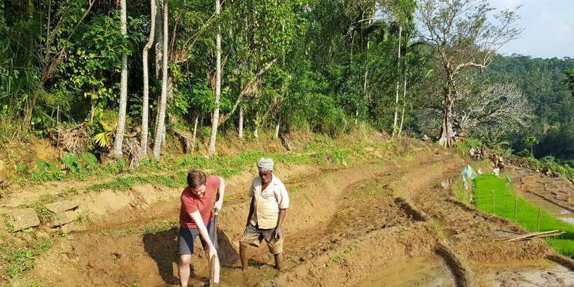 Knuckles Spice Trail Trek from Kandy - Terrace rice fields, spice forests, and the village shift