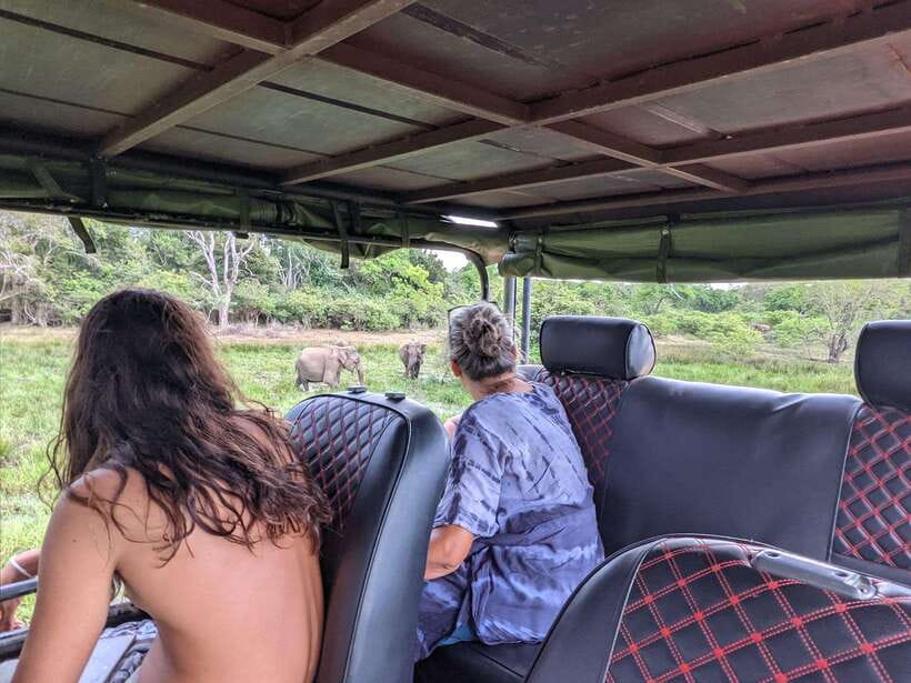 Kumana National Park : Morning or Afternoon Safari Tour - Price and Value: Is $47 a Good Deal?