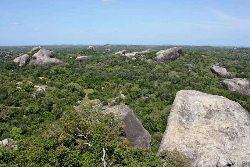 Kumana National Park : Morning or Afternoon Safari Tour - Logistics That Affect Your Day: Pickup Area and Vehicle Fit