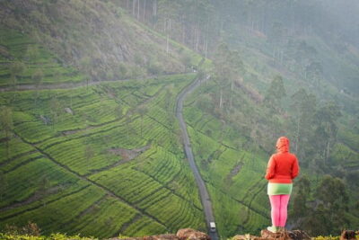 Lipton's Seat and Tea Factory,Trail Amidst Tea Plantation Day Tour - Getting There by Tuk-Tuk from Ella (and Why It Matters)