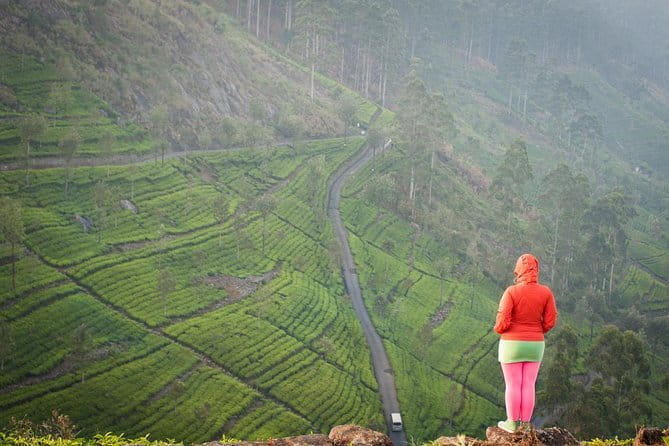 Lipton's Seat and Tea Factory,Trail Amidst Tea Plantation Day Tour - Getting There by Tuk-Tuk from Ella (and Why It Matters)