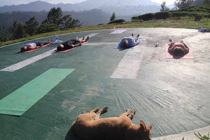 Little Adams peak Sunrise Hike and Yoga Lesson . - The 4:30 a.m. start: what your morning really looks like
