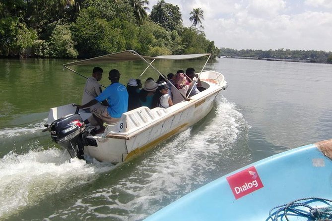Madu River Boat Safari Balapitiya - Key Things I’d Put at the Top of Your Checklist