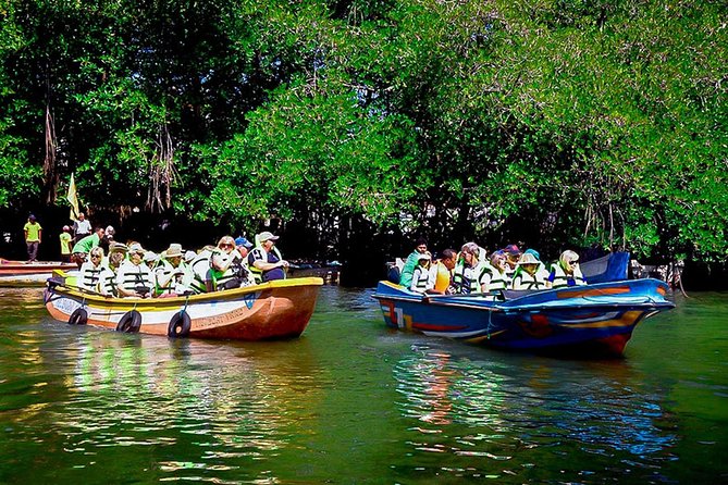 Madu River Boat Safari Balapitiya - From Bentota/Balapitiya: Getting to the Madu River Safari Start