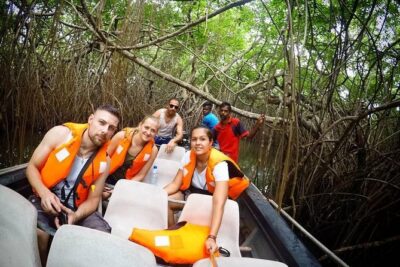 Madu River Boat Safari Balapitiya - Wildlife Spotting on the Madu: What You Can Realistically Aim For